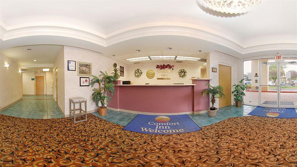 Comfort Inn & Suites Deland - Near University Eksteriør bilde